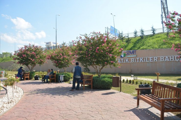 Tıbbi Aromatik Bitkiler Bahçesi’ne ilgi yoğun