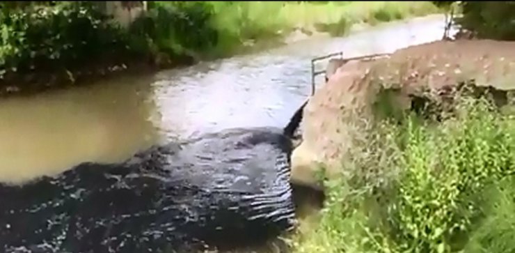 Mudurnu Deresi’ne atılan atıklar dereyi siyaha bürüdü