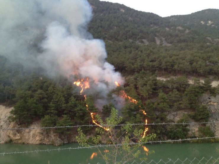 Tokat’ta orman yangını