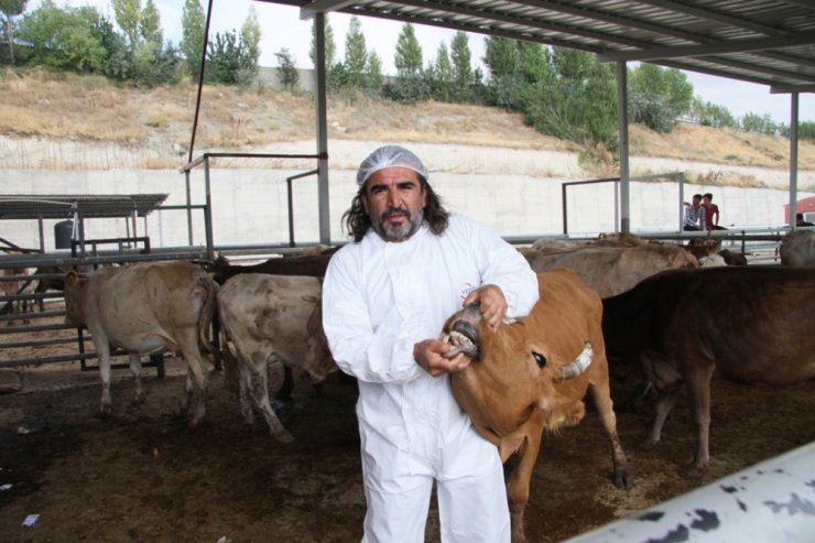 Türk Kızılayı Van’da 600 büyükbaş kurban kesti