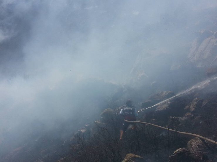 Ardahan’daki orman yangını kontrol altına alındı