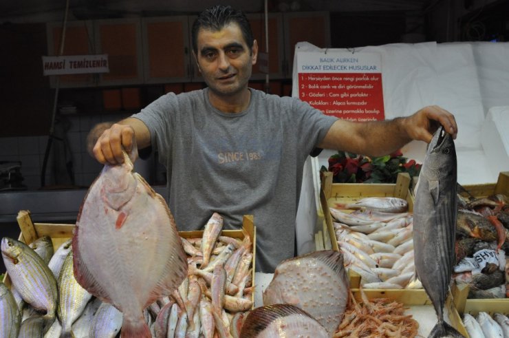 Balık sezonu açıldı tezgahlar canlandı