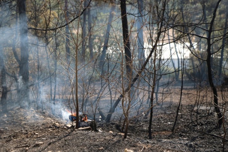Bolu’daki orman yangını tamamen kontrol altına alındı