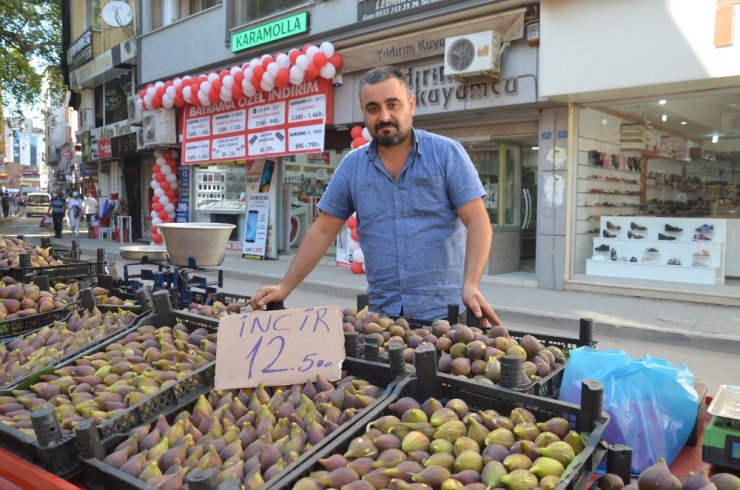 İncir ek geçim kaynağı oldu