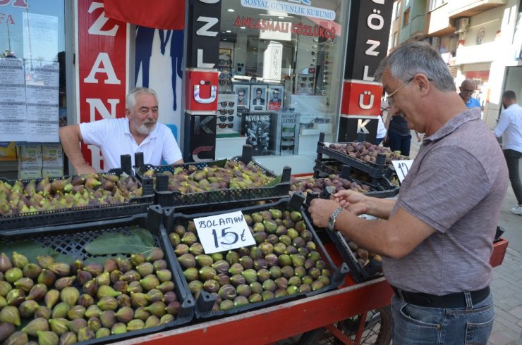 İncir ek geçim kaynağı oldu