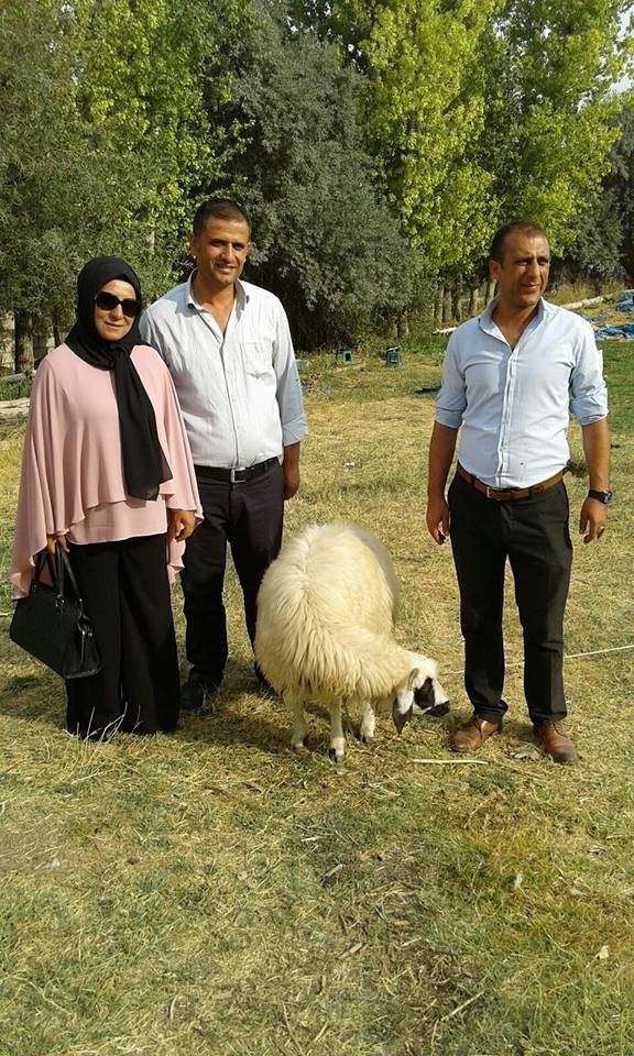 Başkan Koç’tan gazi ve şehit ailelerine yardım