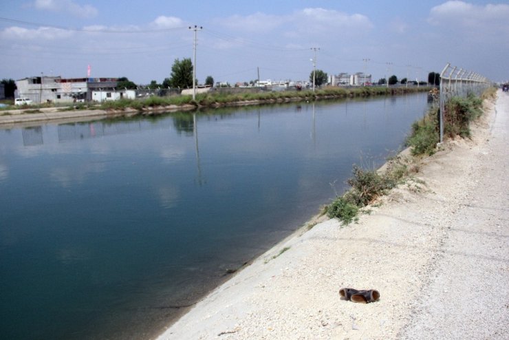 Sulama kanalına atlayan kadının cesedi 44 kilometre uzakta bulundu