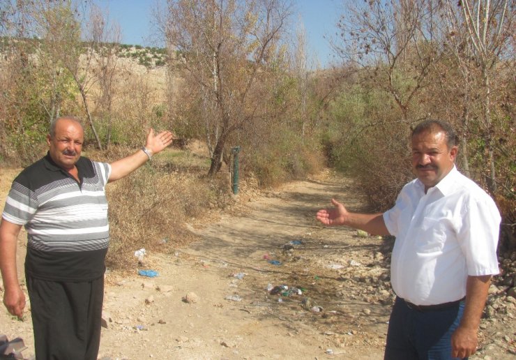 Bakan Eroğlu’un talimatıyla susuz kalan ağaçlara su verildi