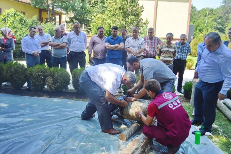 Demirköy’de istiridye mantarı üretiminin artırılması çalışmaları
