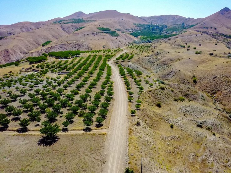 Büyükşehir Belediyesi yol çalışmalarına devam ediyor