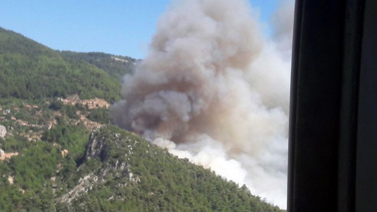 Muğla’da orman yangını