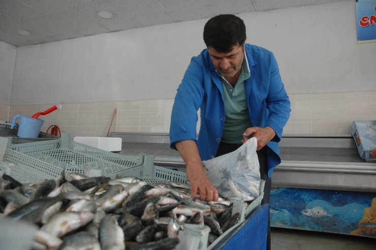 Deniz balıkları tezgâhlardaki yerini aldı