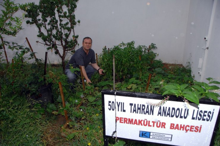 Kadıköy’deki okullarda hasat zamanı