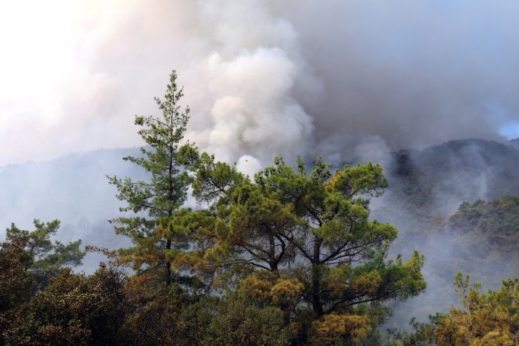 Antalya’daki yangını söndürme çalışmaları devam ediyor