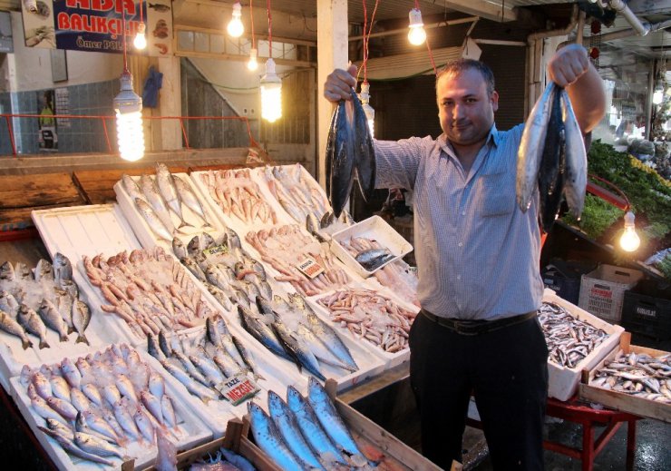 Av yasağının kalkmasıyla tezgahlar doldu, fiyatlar yarıya düştü