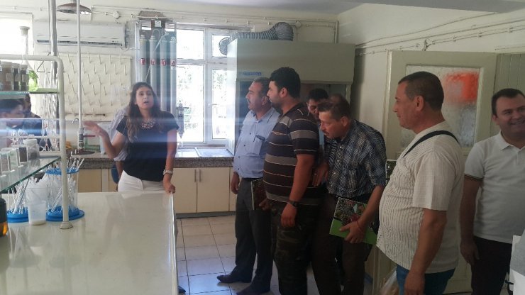 Ayvacık’lı üreticiler Gaziantep’e çıkartma yaptı