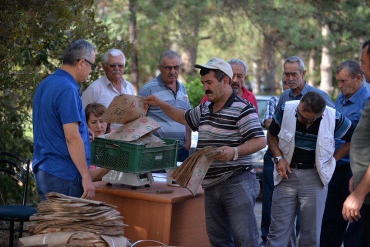 Organik Gıdalar Sağlıklı Ambalajda