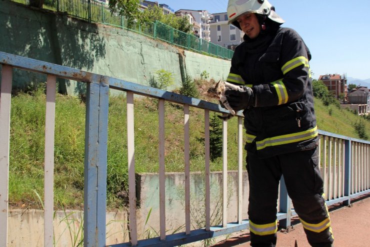 Su kanalında kedi kurtarma operasyonu