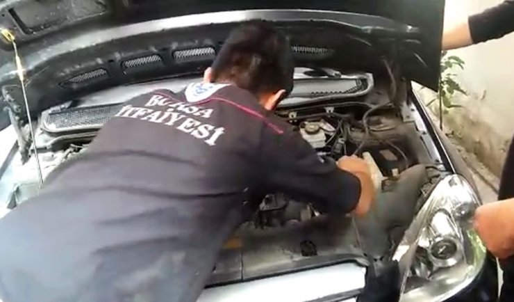 Otomobilin motorunda dünyaya gelen yavru kediler kurtarıldı