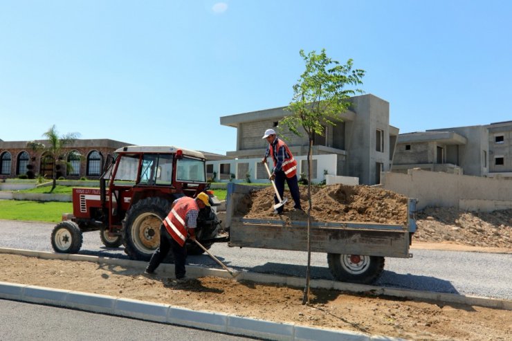Manavgat Belediyesi ırmak kenarını ağaçlandırıyor