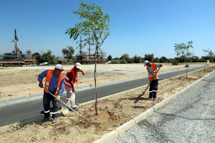 Manavgat Belediyesi ırmak kenarını ağaçlandırıyor