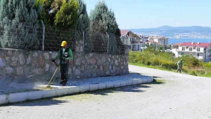 Başiskele’de her gün 60 dönüm çim biçiliyor