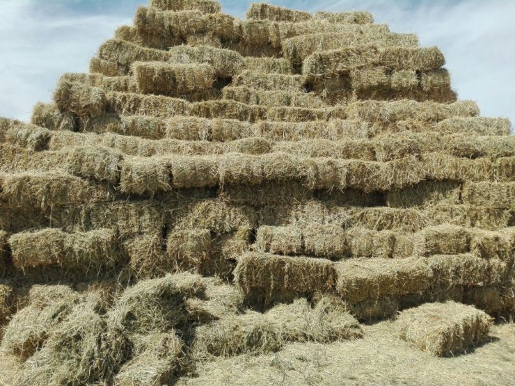 Balya fiyatları 2 kat arttı