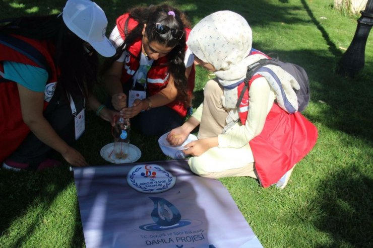 Öğrenciler kuşlar için ağaçlara yemlik astı