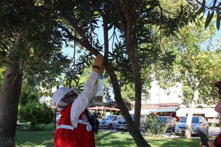 Öğrenciler kuşlar için ağaçlara yemlik astı