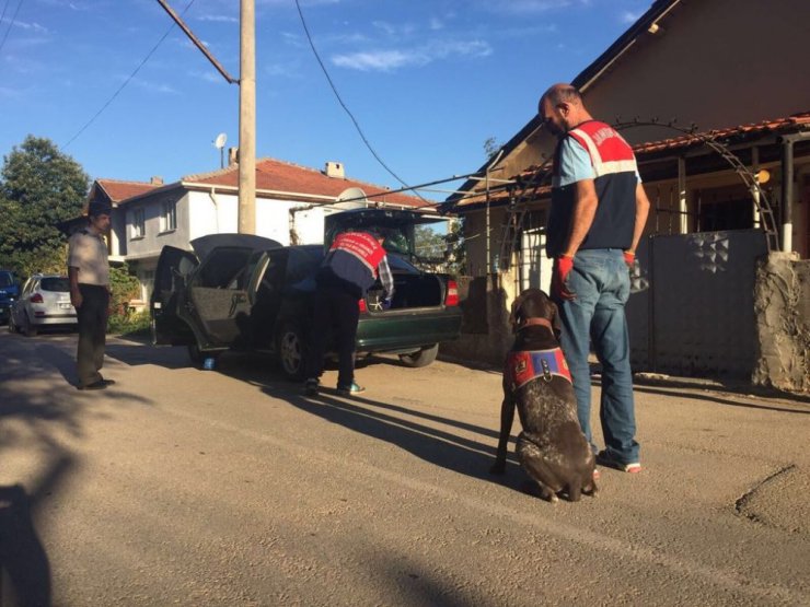 Jandarmadan köpekli uyuşturucu operasyonu