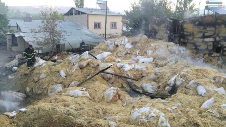 Tonlarca saman küle döndü