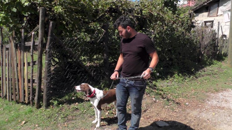 Köpeği öldürülen 80 yaşındaki Hacer Nine: “Beni köpeğimin yanına gömün”