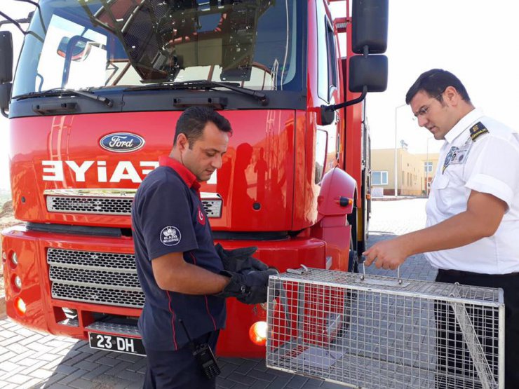 Direkte mahsur kalan yaralı güvercini itfaiye kurtardı