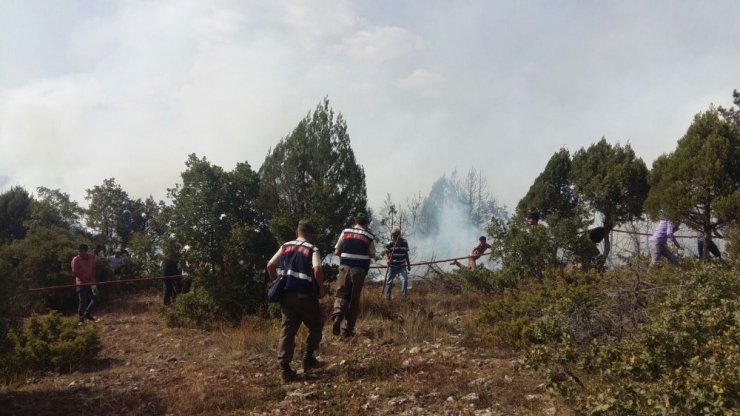 Kütahya Domaniç’te orman yangını