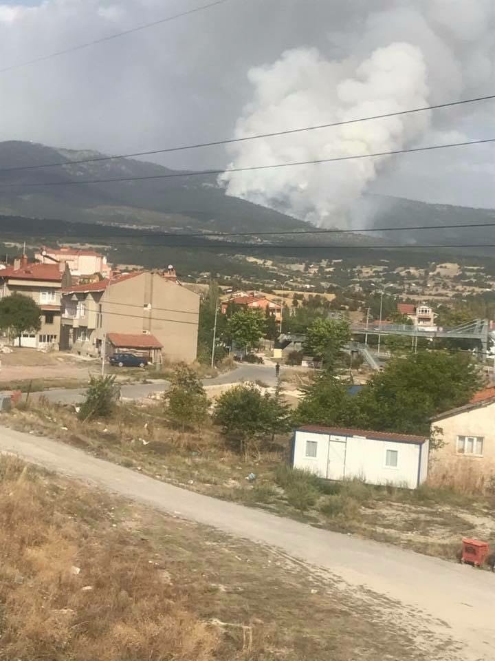 Domaniç’teki orman yangınını söndürme çalışmaları sürüyor