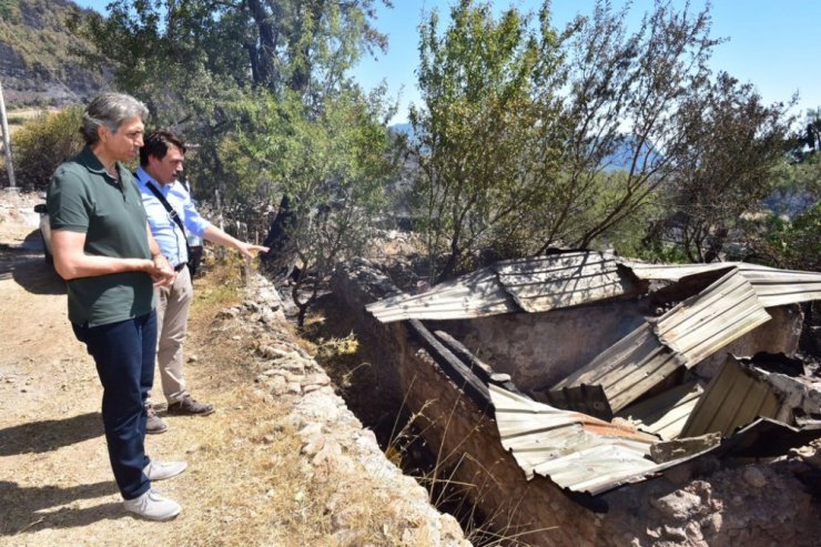 Muğla’nın Zeytinköy yangın bölgesine Fatih Belediyesi’nin gönderdiği yemler ulaştı