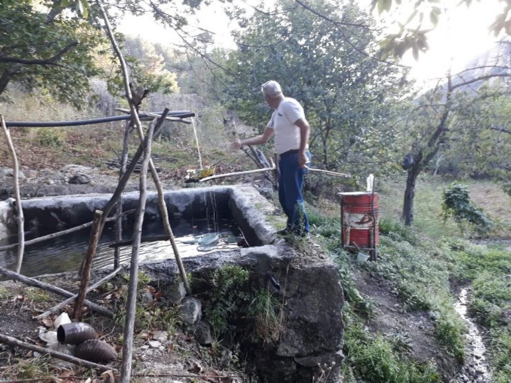 İlginç domuz kovma yöntemi