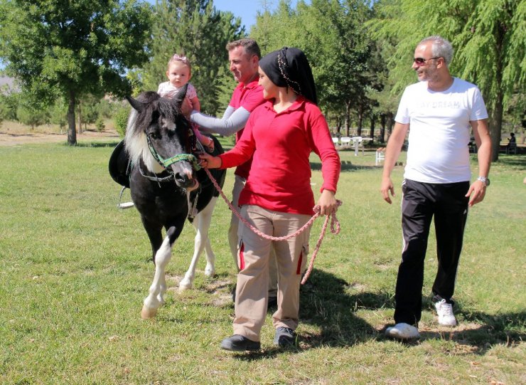 Elazığ’da at sevgisi, ücretsiz at binme ile aşılanıyor