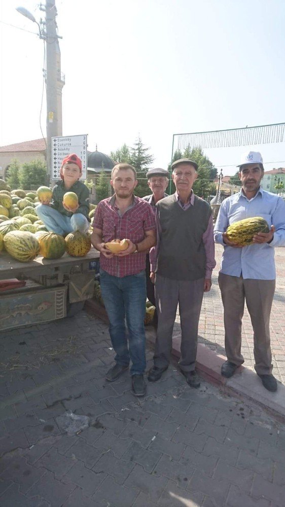 Bu köyün tamamı kavun yetiştiriyor