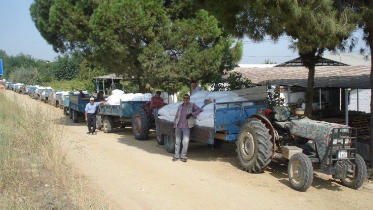 TARİŞ depolarında üzüm kuyruğu