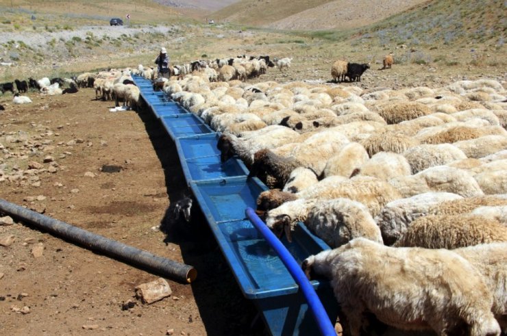 Büyükşehir Belediyesinden çiftçiye sıvat desteği