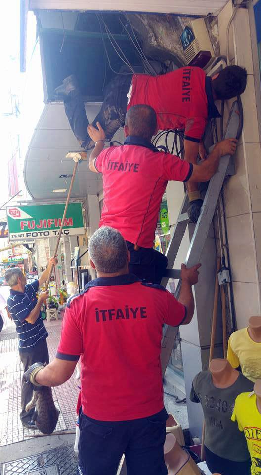 Kepenge sıkışan yavru kediyi itfaiye kurtardı