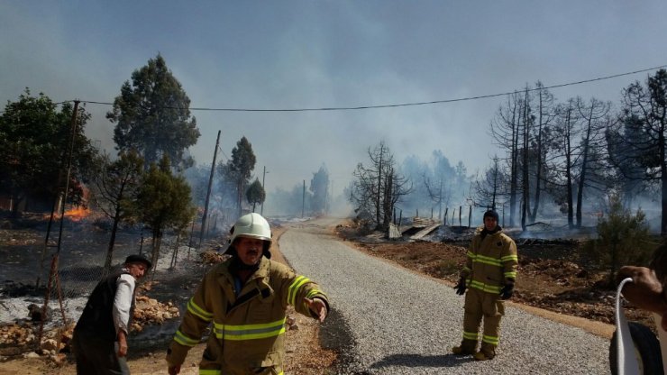 Dursunbey’de orman yangını