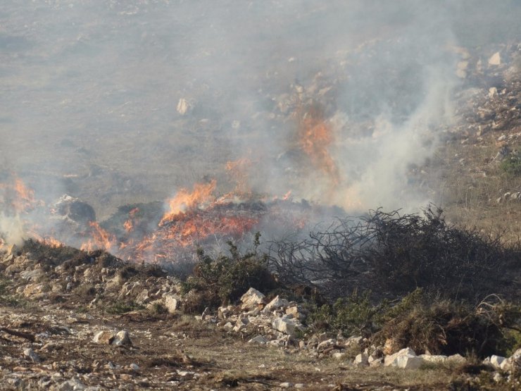 Domaniç’te çıkan orman yangını Bilecik sınırına ulaştı