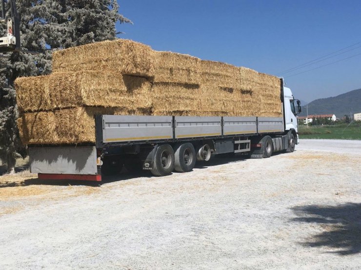 Tarım İl Müdürlüğünden Zeytin Mahallesine 13 ton saman