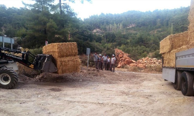 Tarım İl Müdürlüğünden Zeytin Mahallesine 13 ton saman