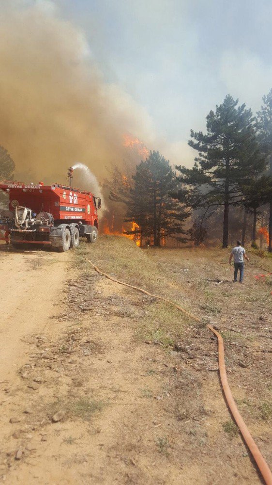 Sakarya’da başlayan orman yangını hızla büyüyor