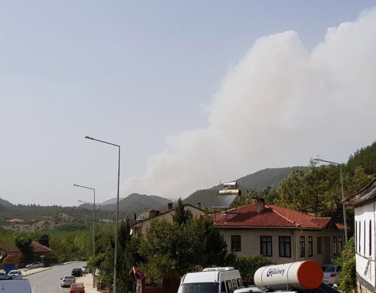 Sakarya’da başlayan orman yangını hızla büyüyor