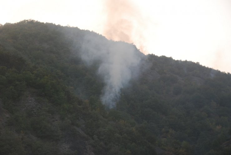 Tokat’ta orman yangını