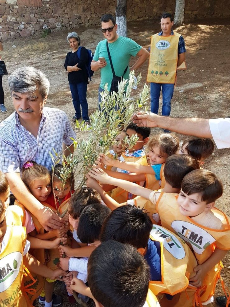 Minik öğrenciler yeni eğitim-öğretim yılına zeytin ağacı dikerek başladı